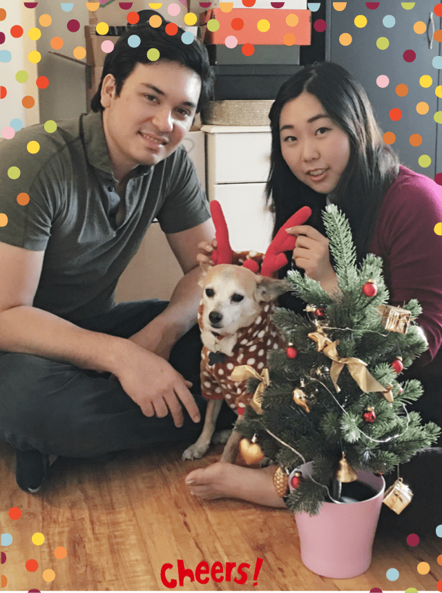 Hunter (new name) is his forever home!