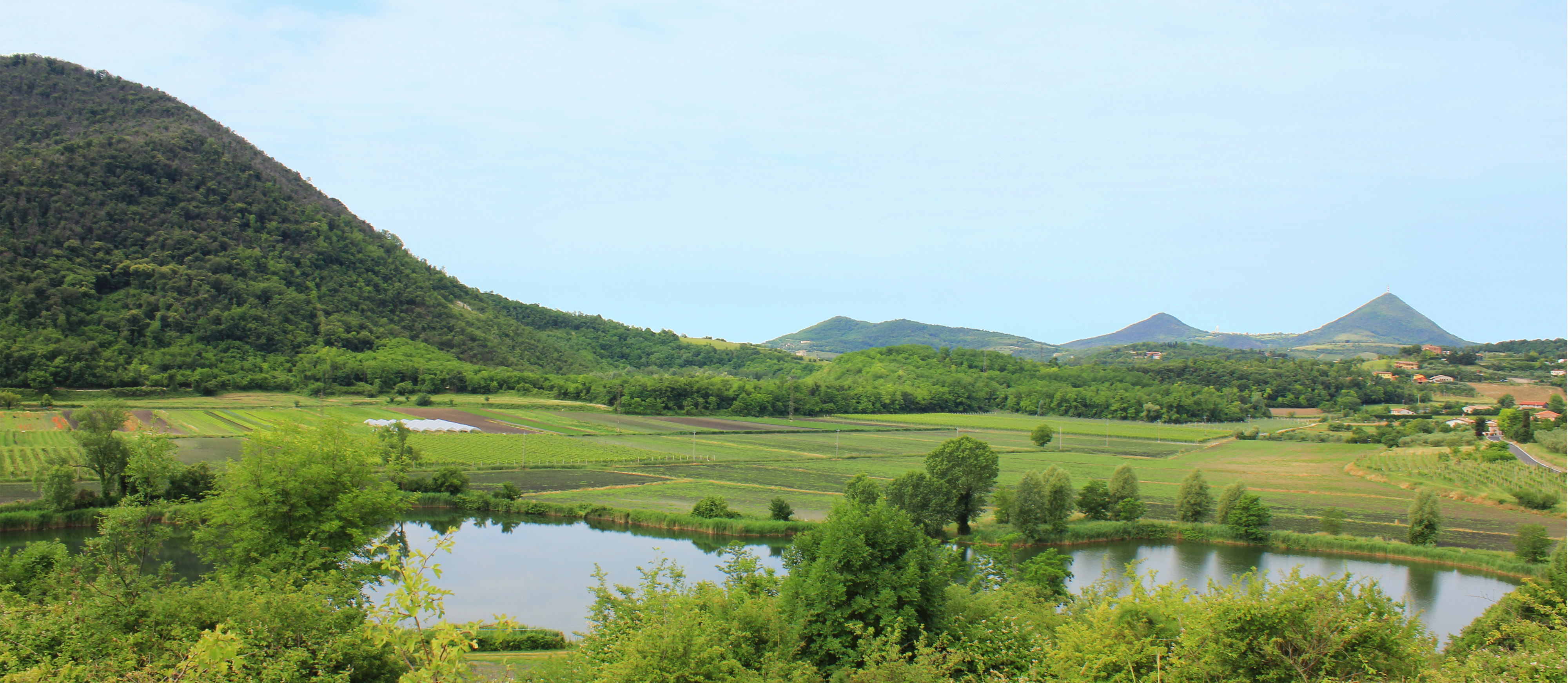 Paesaggio Colli Euganei