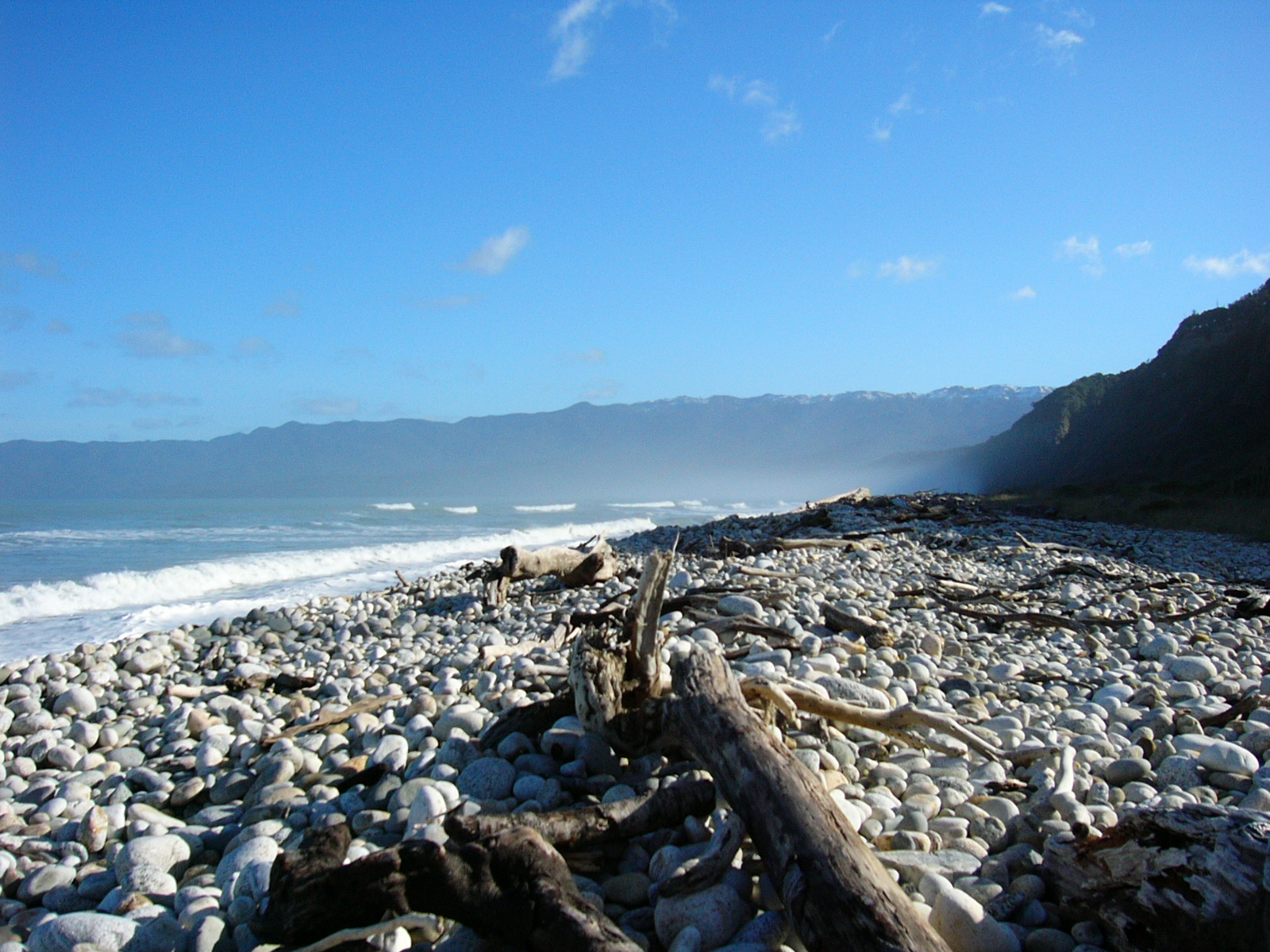 I've Gone Full Circle With Lumix Aperture Priority