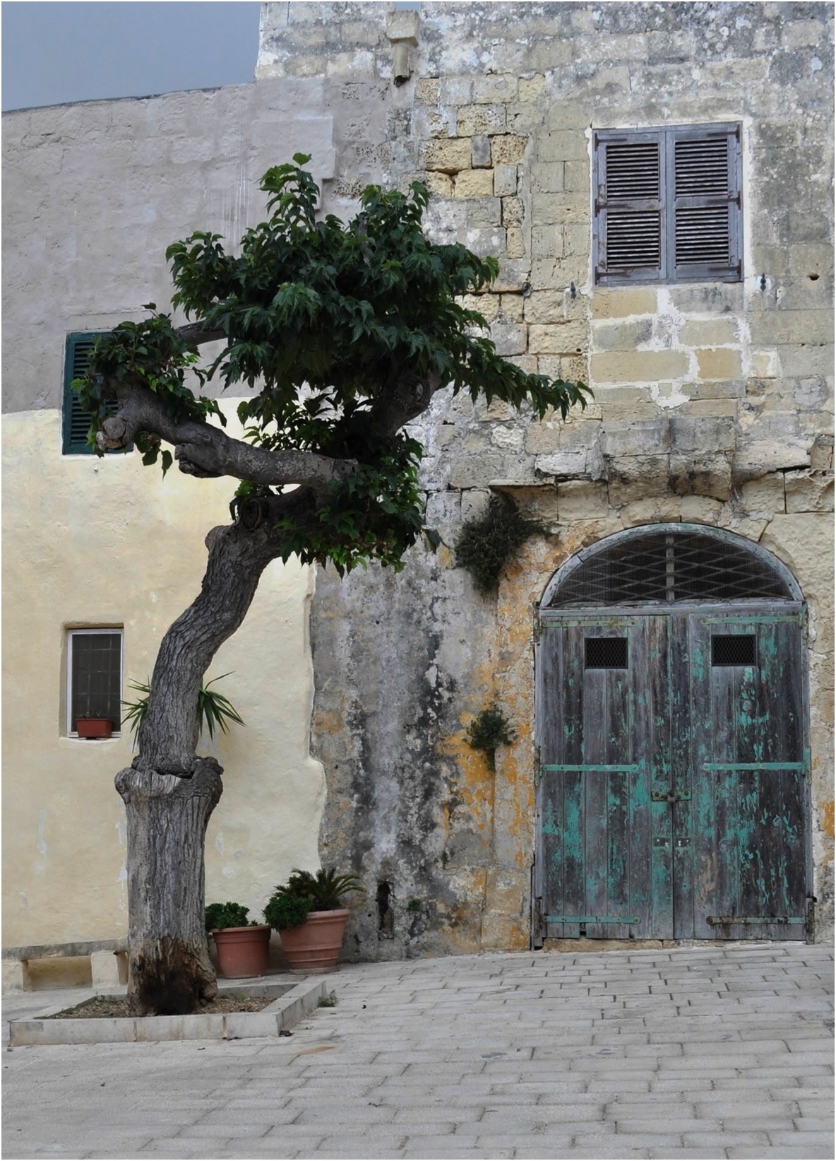 Mdina Door