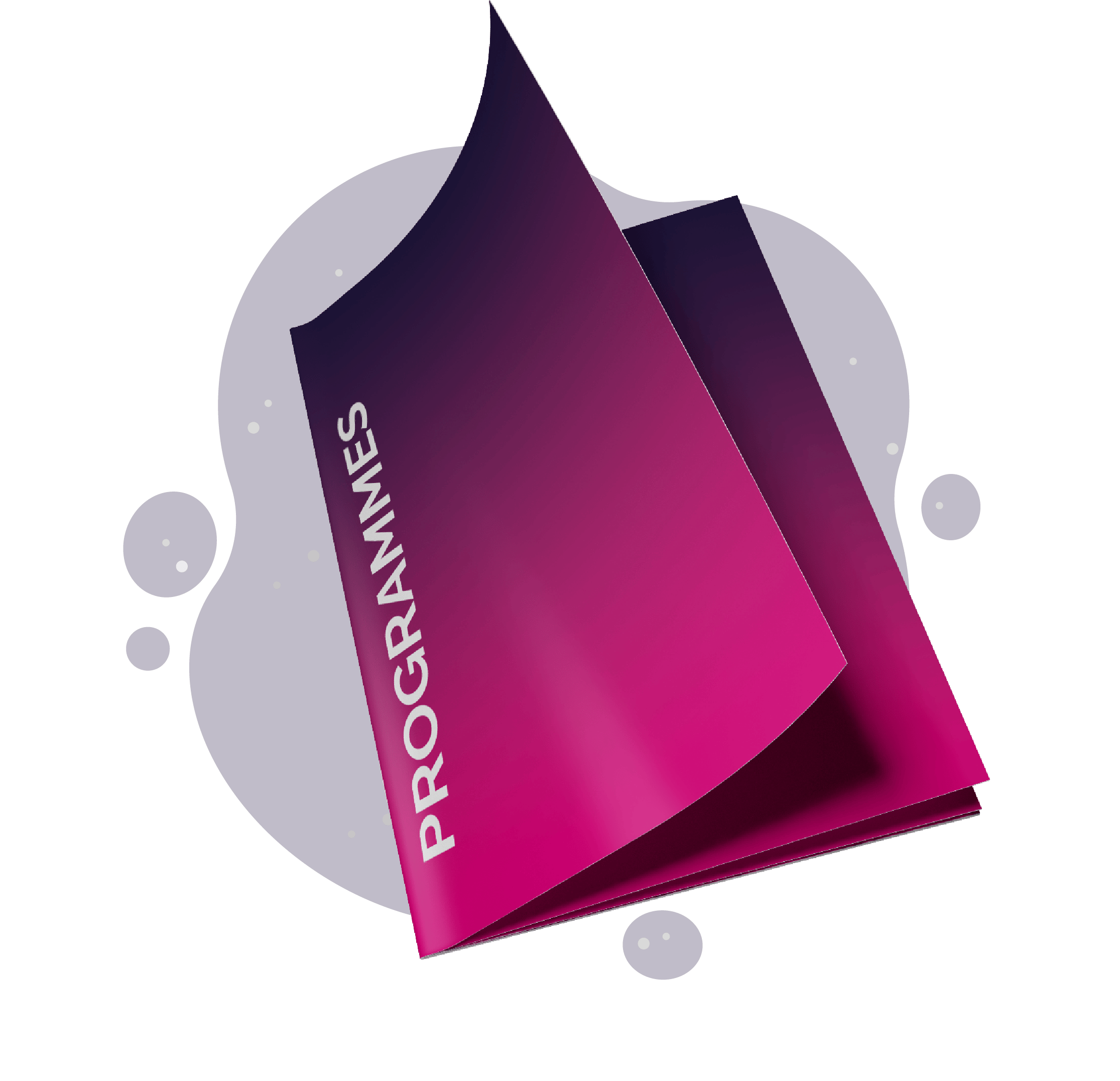 programmes icon