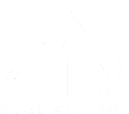ApexExpLogoInverted