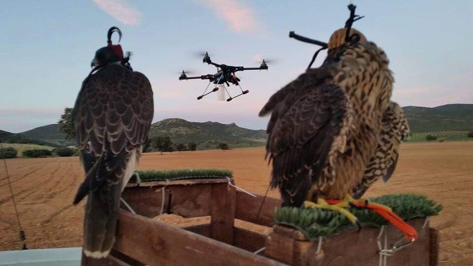 PalestraDrones2018 (3)