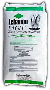 Ferti Lome Liquid Systemic Fungicide Ii Concentrate 32 Oz