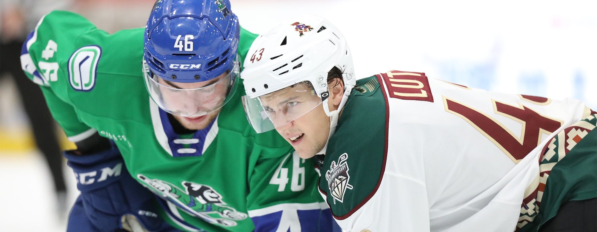 Abbotsford defeated Roadrunners in a huge 5-2 win | Pro Hockey News