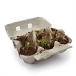 Custom Promotional Egg Carton Garden Branded Promo