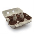 Custom Promotional Egg Carton Garden Branded Promo