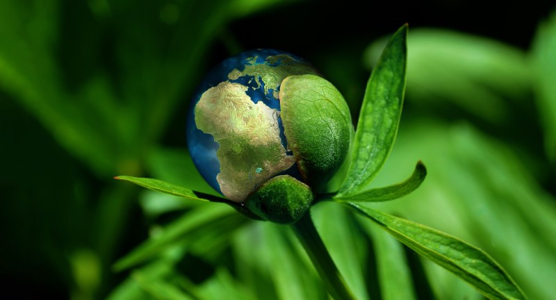 Company Belimed - Best Mountain Photos in Full HD