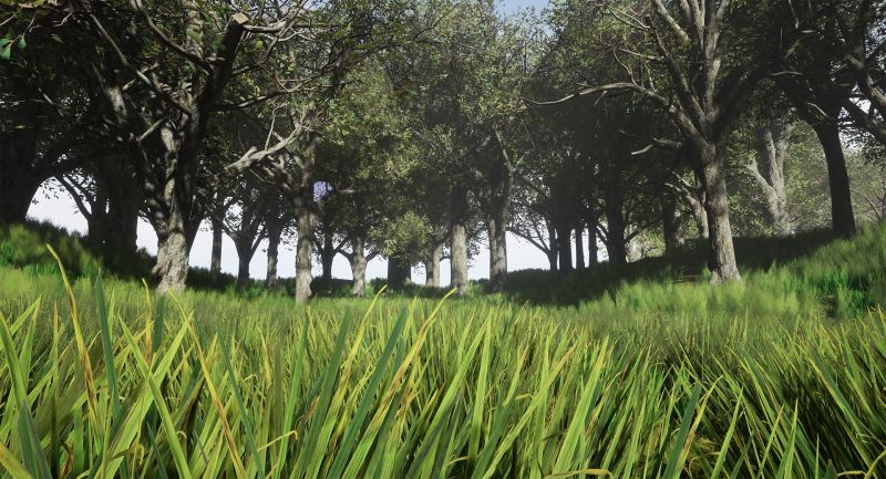 Tree Collection 001 Flippednormals - 8K Sunset Images for Desktop