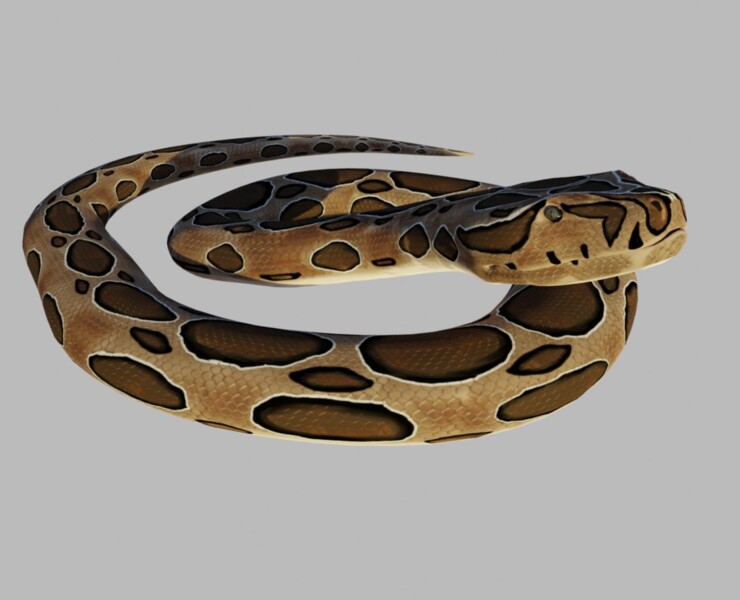 Viper Less - Best Mountain Designs in High Resolution