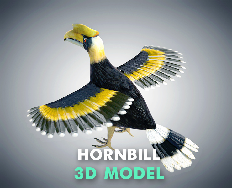 Hornbill 3d Model By 3dstudio - Best Landscape Wallpapers in 8K