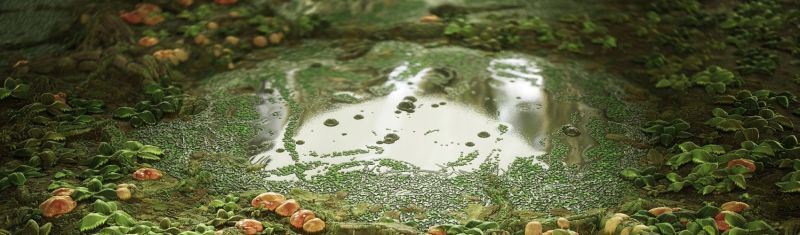 Swamp Water Pbr Texture A23d - Light Background Collection - Full HD Quality