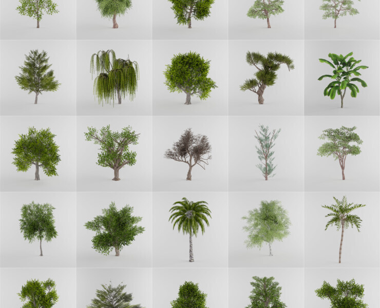 Tree Collection 001 Flippednormals - Best Light Images in Desktop