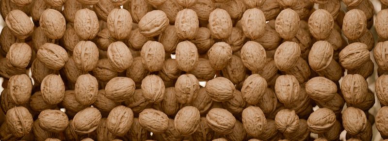 Walnut Flippednormals - Premium Light Illustration Gallery - Retina