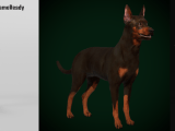 Miniature Pinscher Dog Breed Flippednormals