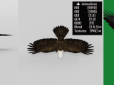 Bald Eagle Bird Flippednormals