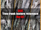 Tree Trunk Texture Reference Flippednormals