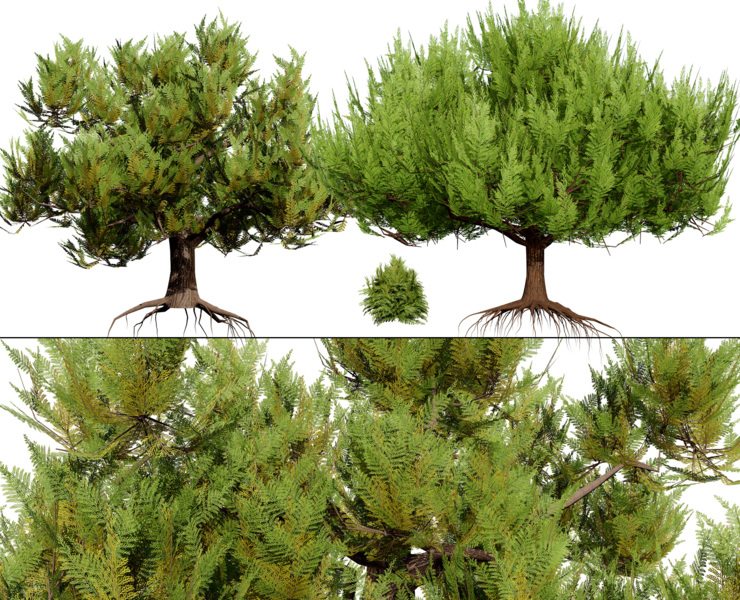 Pine Tree Pack Flippednormals - Ultra HD Mobile Colorful Textures | Free Download