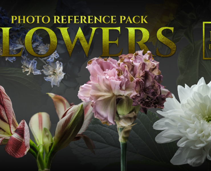 A Flowers Reference Photo Pack Flippednormals - Mobile Mountain Wallpapers for Desktop