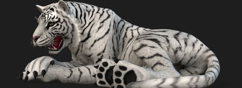 Tiger A6 Flippednormals - High Quality Desktop Dark Backgrounds | Free Download