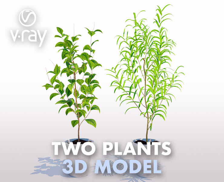Plants Collection 2 Flippednormals - High Quality High Resolution Geometric Photos | Free Download