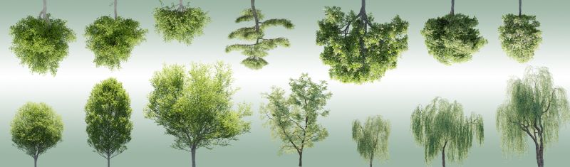 30 Trees Pack Flippednormals - Artistic Retina Sunset Photos | Free Download