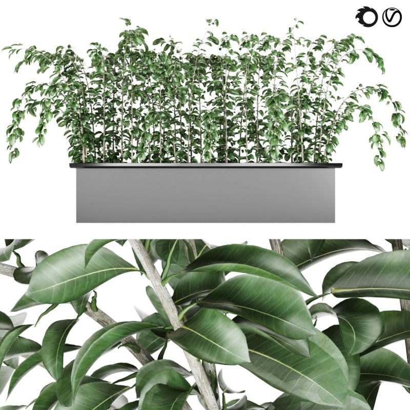 Plant 001 - Artistic HD Colorful Textures | Free Download