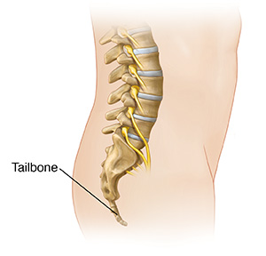 Bone growth stimulators are sometimes used for fracture. Tailbone Coccyx Fracture Saint Luke S Health System