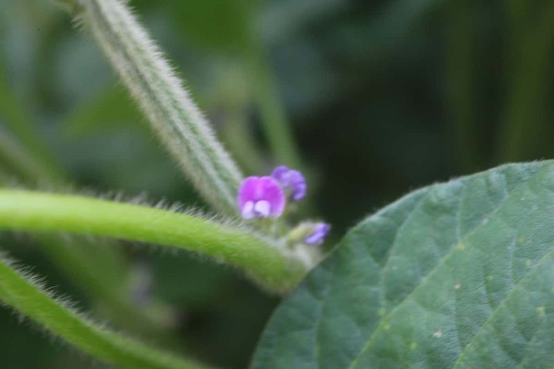 Lidea Es Mediator Pdf - Download Modern Space Photo | Ultra HD