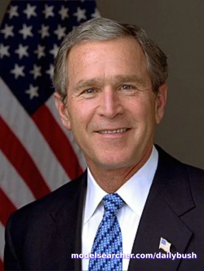 dailybush