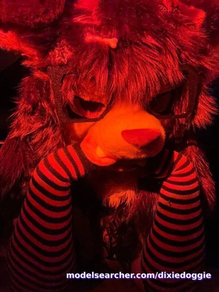 dixiedoggie