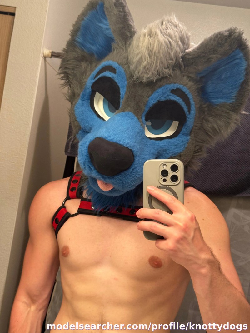 Casper The Wusky Spotlight #fapsearcheri1