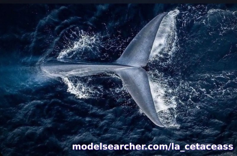 La Cetacea🔥 Spotlight #fapsearcheri1