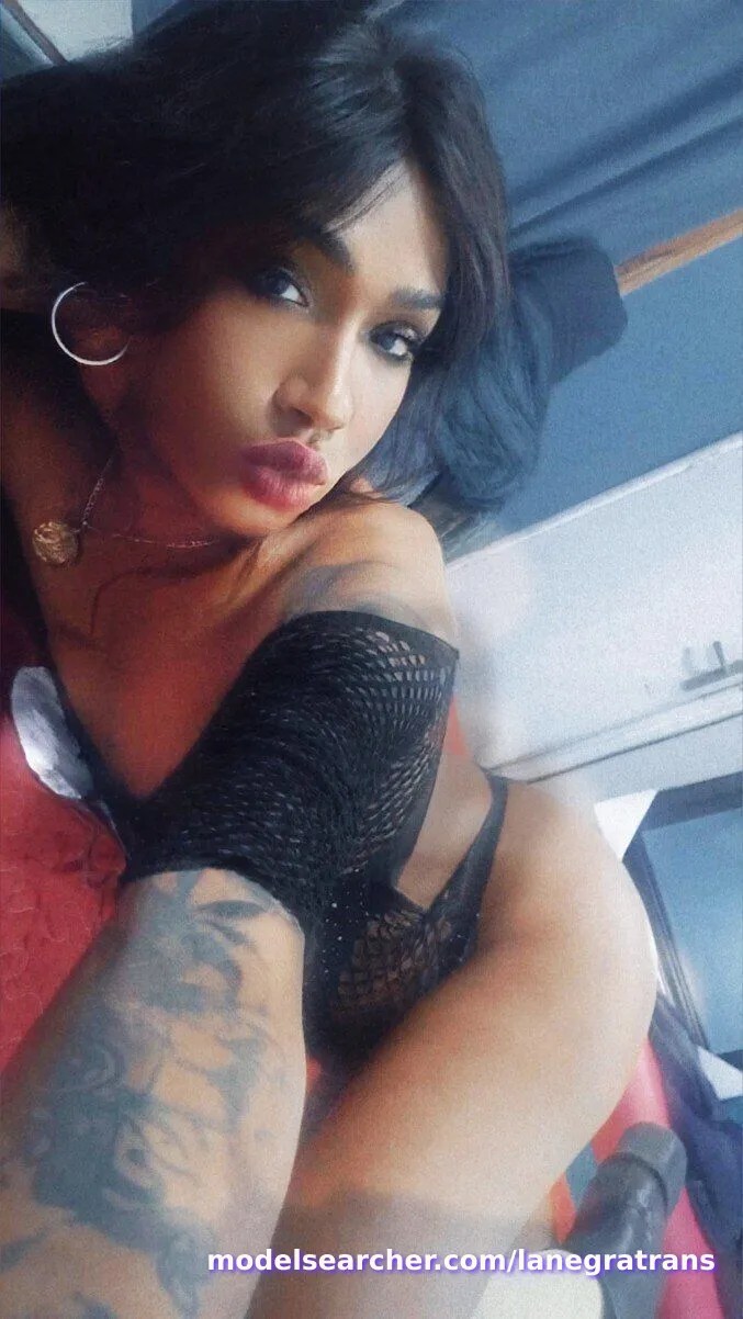 Transdominicana Spotlight #fapsearcheri1