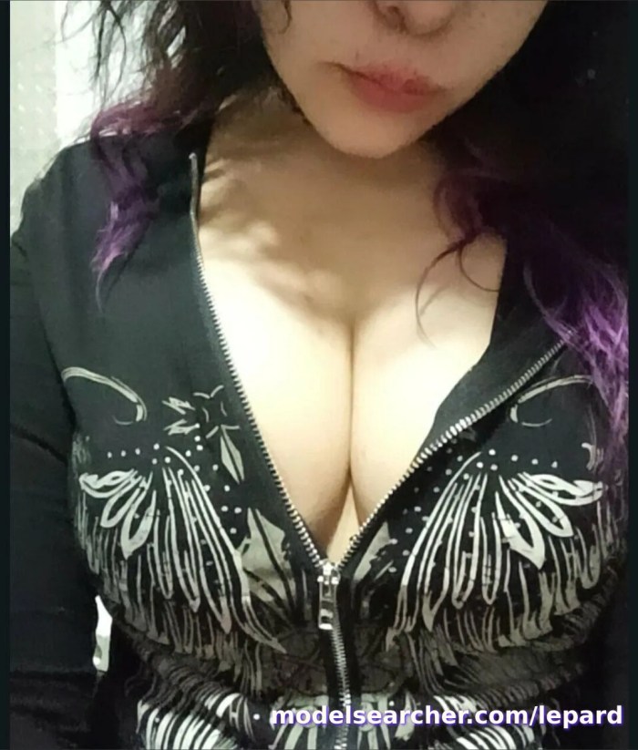 dessibelle