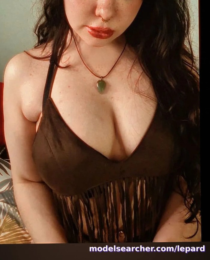 dessibelle