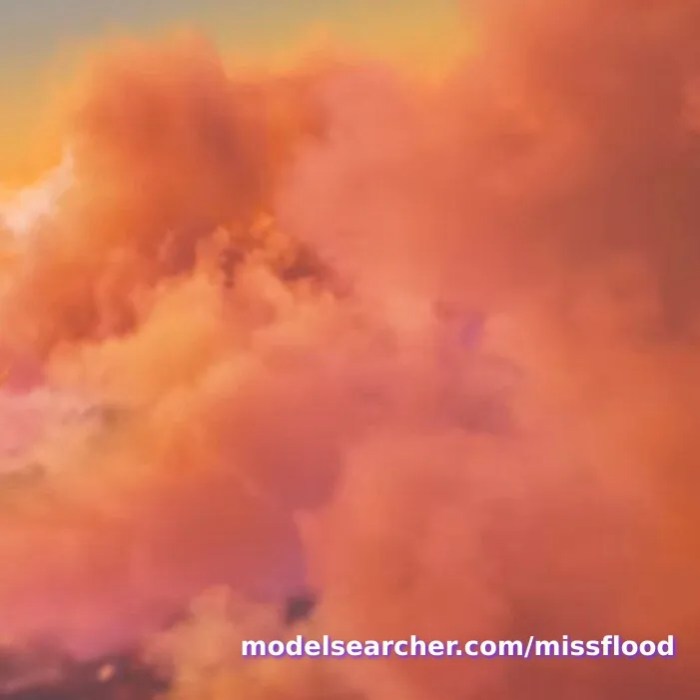 missflood