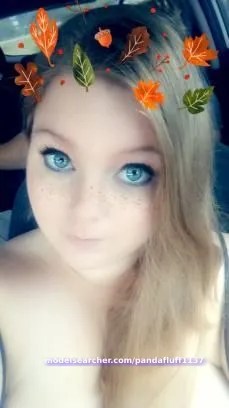 pandafluff1137 Spotlight #fapsearcheri1