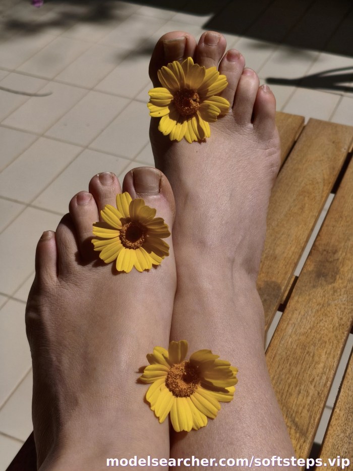softsteps.vip