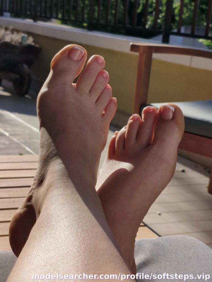 softsteps.vip