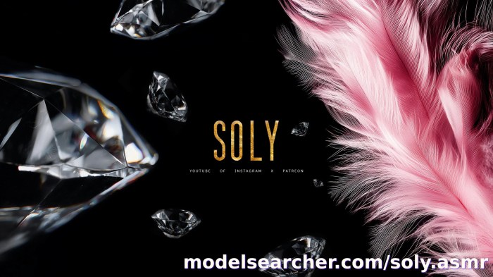 soly.asmr