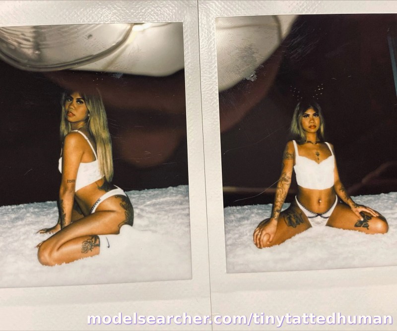 tinytattedhuman Spotlight #fapsearcheri5