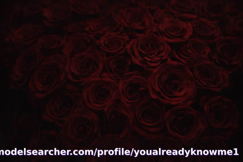 𝙄𝙨𝙖𝙗𝙚𝙡𝙡𝙖 💗 Spotlight #fapsearcheri7