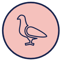 Nuget Gallery Jcdcdev Umbraco Extendedmarkdowneditor 16 0 1 Alpha0009 - 4K Gradient Textures for Desktop