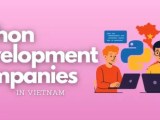 Top 11 Popular Python Development Companies In Vietnam