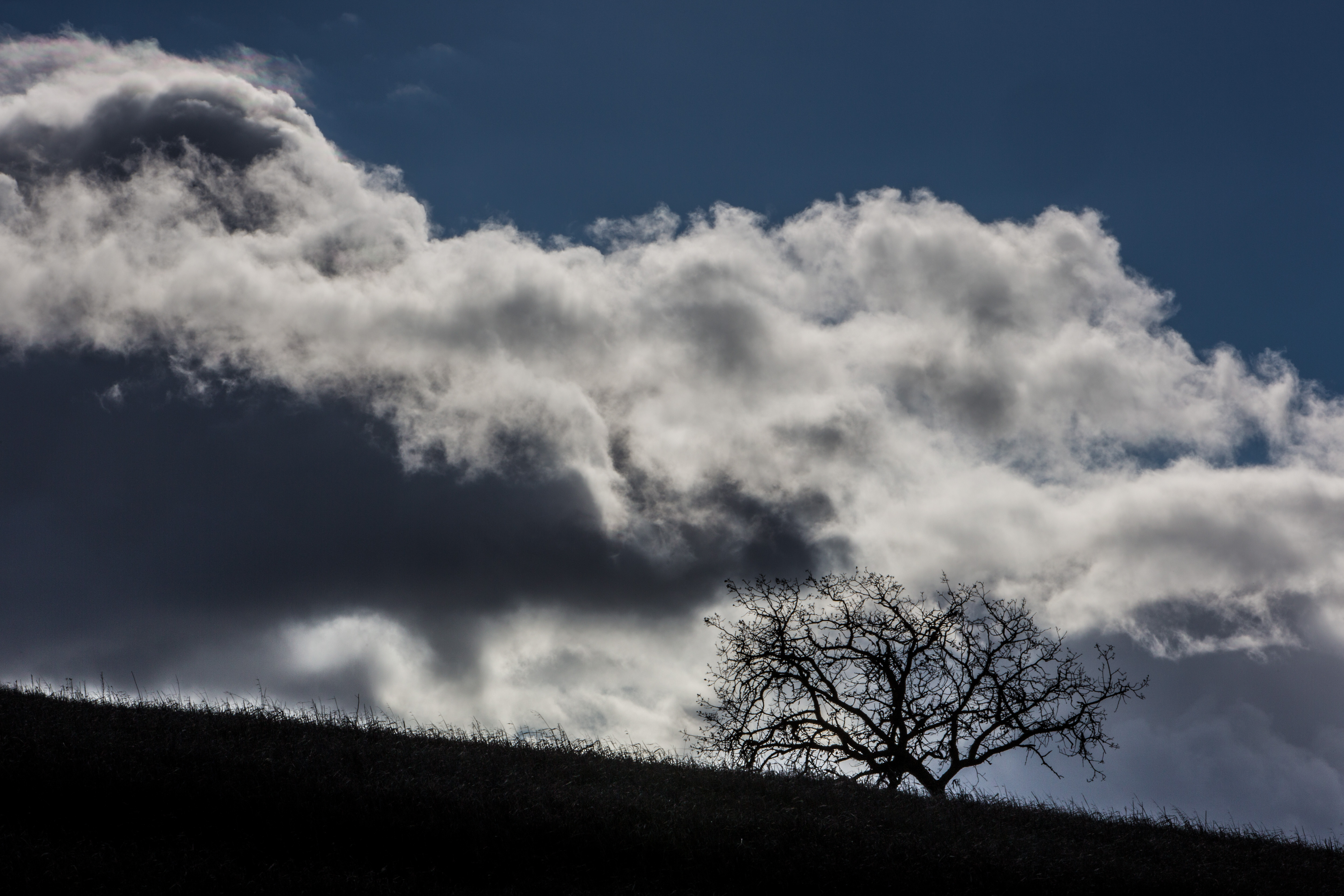 Climate Change Clouds Aren T Helping As Much As We Thought Time