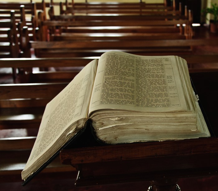 Bible pdf download
