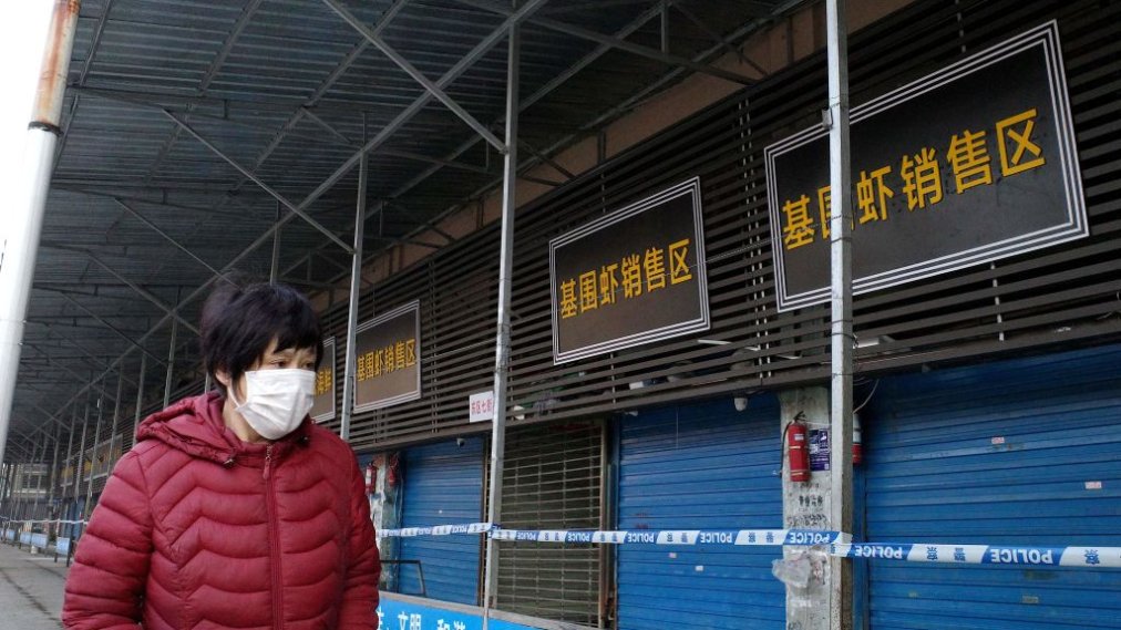 Téléchargement gratuit Images The Role Of Wild Animals In The Wuhan Coronavirus Outbreak Time le plus cool salutations