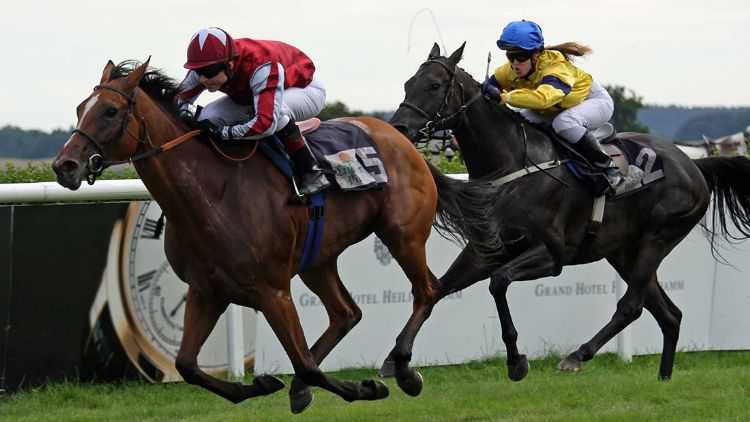 7 Lives Tv Time - Modern Retina Nature Backgrounds | Free Download