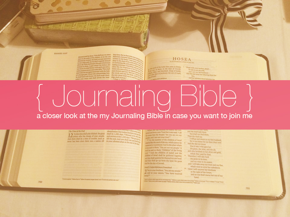 A Closer Look at my Journaling Bible | apileofashes.com